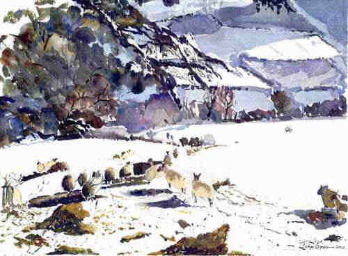 Winter sheep above Worgan's Wood - Slad Glouctershire